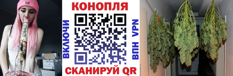 Купить наркоту Богородск Alpha-PVP  Мефедрон  ГАШ  Бошки Шишки 