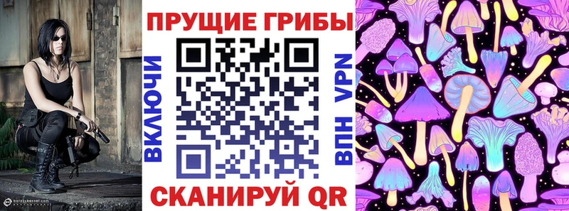 купить наркотик  Богородск  Галлюциногенные грибы Magic Shrooms 
