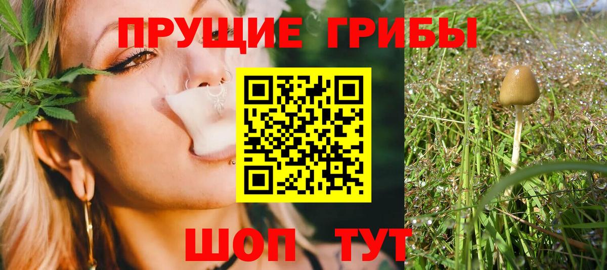 Галлюциногенные грибы Cubensis Богородск