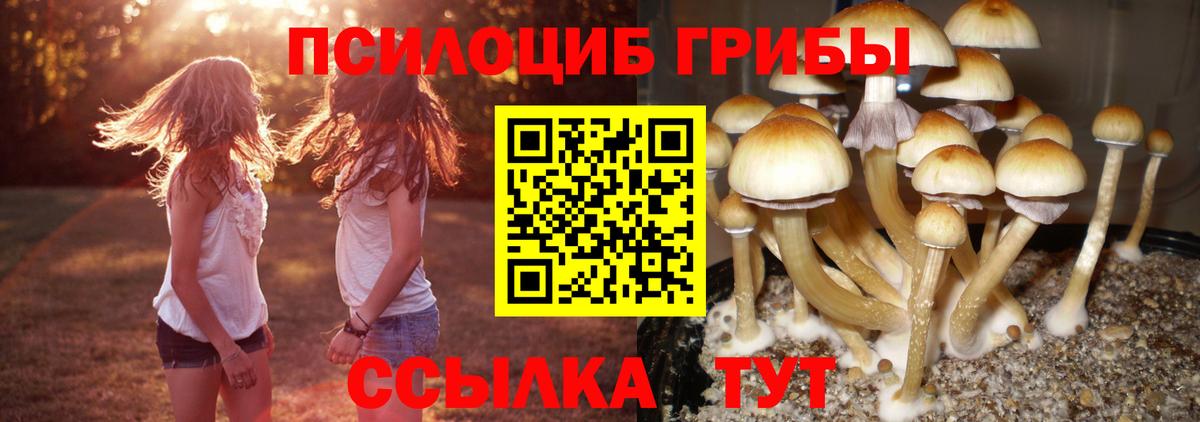 Галлюциногенные грибы MAGIC MUSHROOMS  Псилоцибиновые грибы Psilocybine cubensis  Богородск  Вход с VPN 